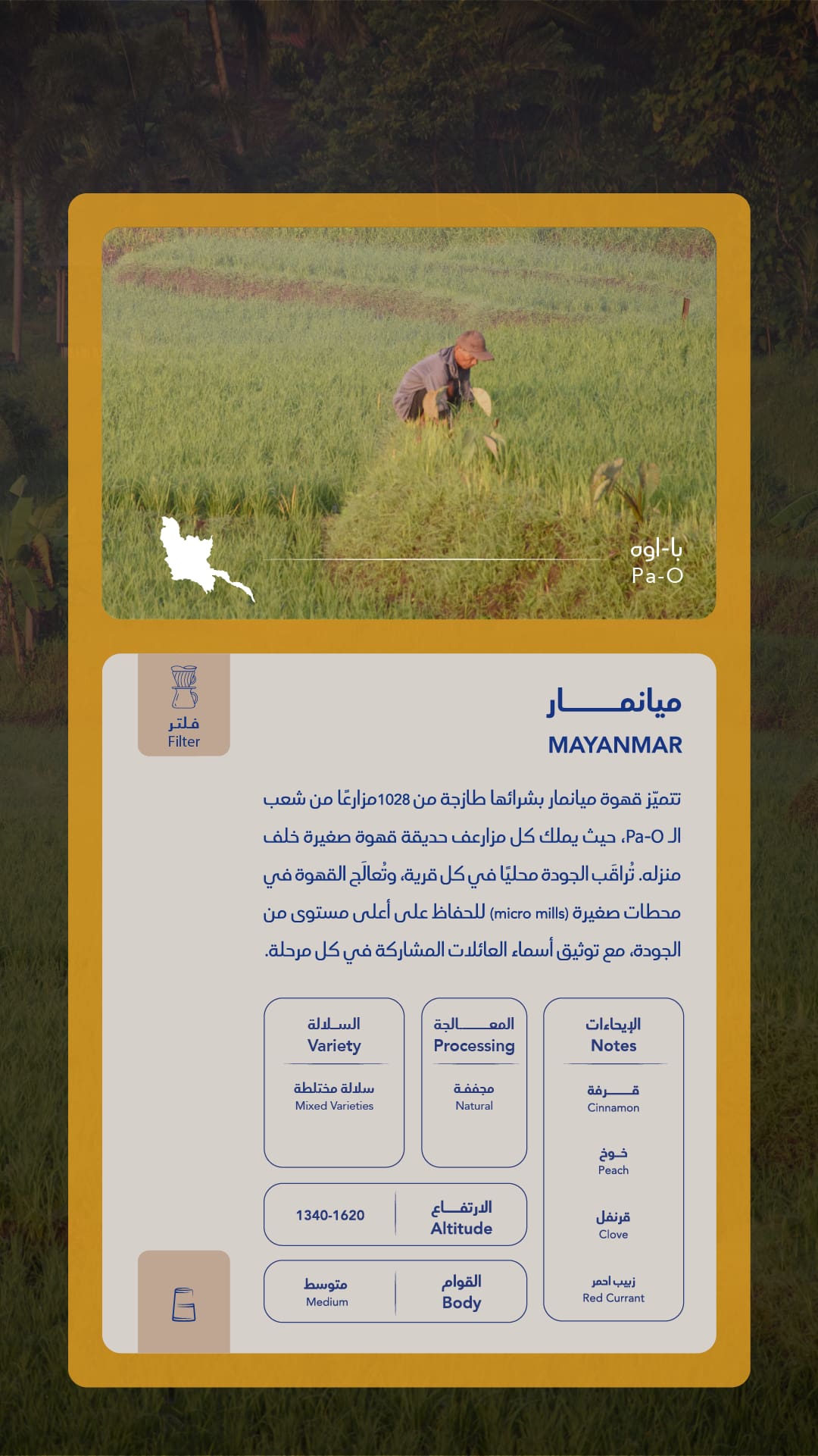 كيس قهوة سواء ميانمار با-أو