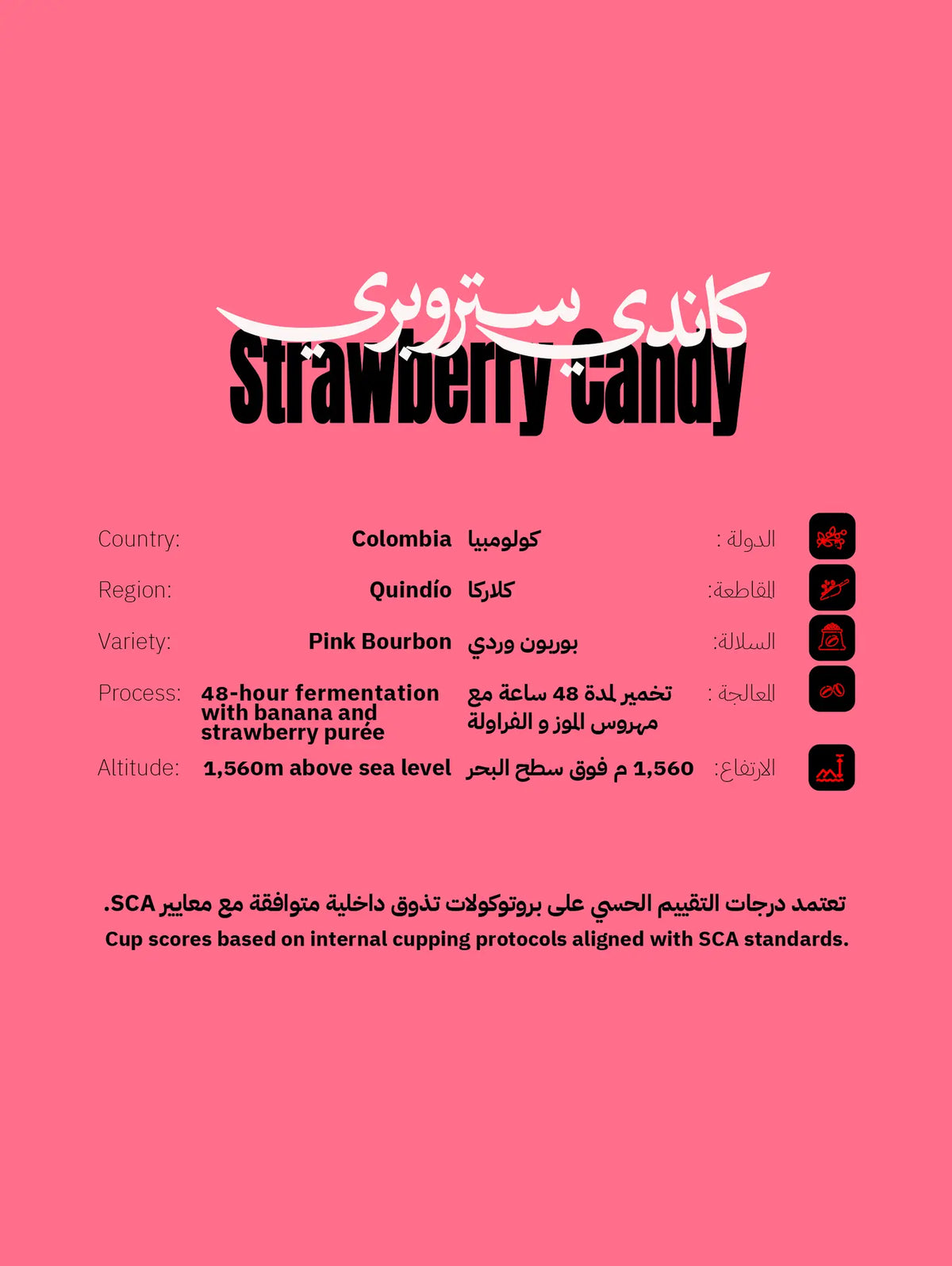 كيس قهوة سيليكشن حلوى الفراولة