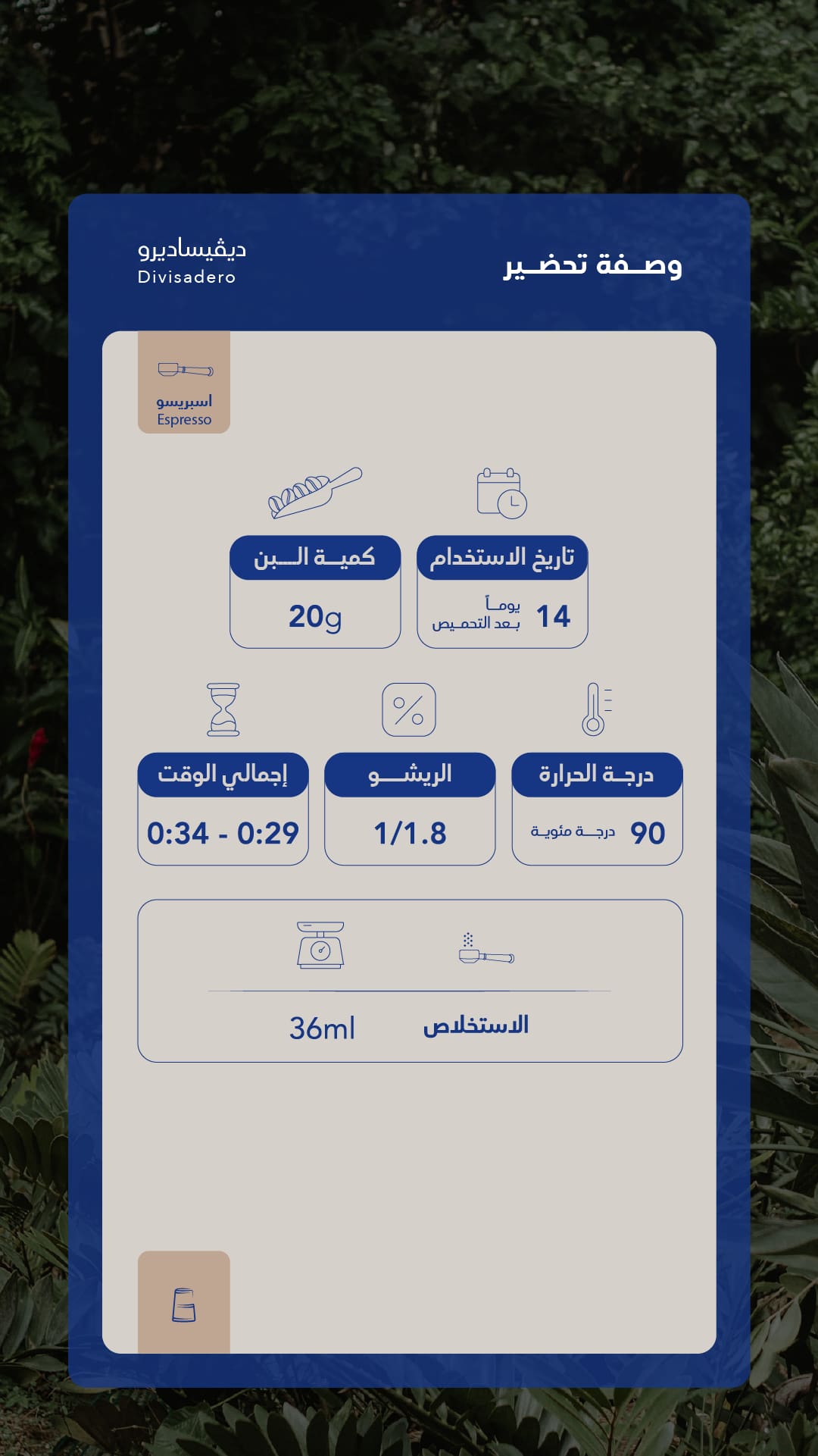 كيس قهوة سواء السلفادور ديفيسّاديرو إسبريسو
