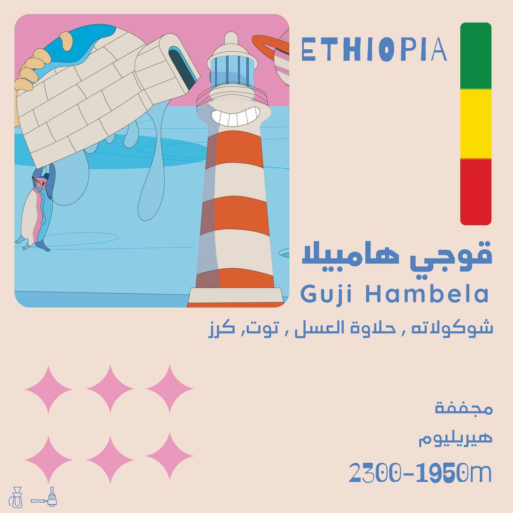 كيس قهوة أولالا قوجي هامبيلا إثيوبيا