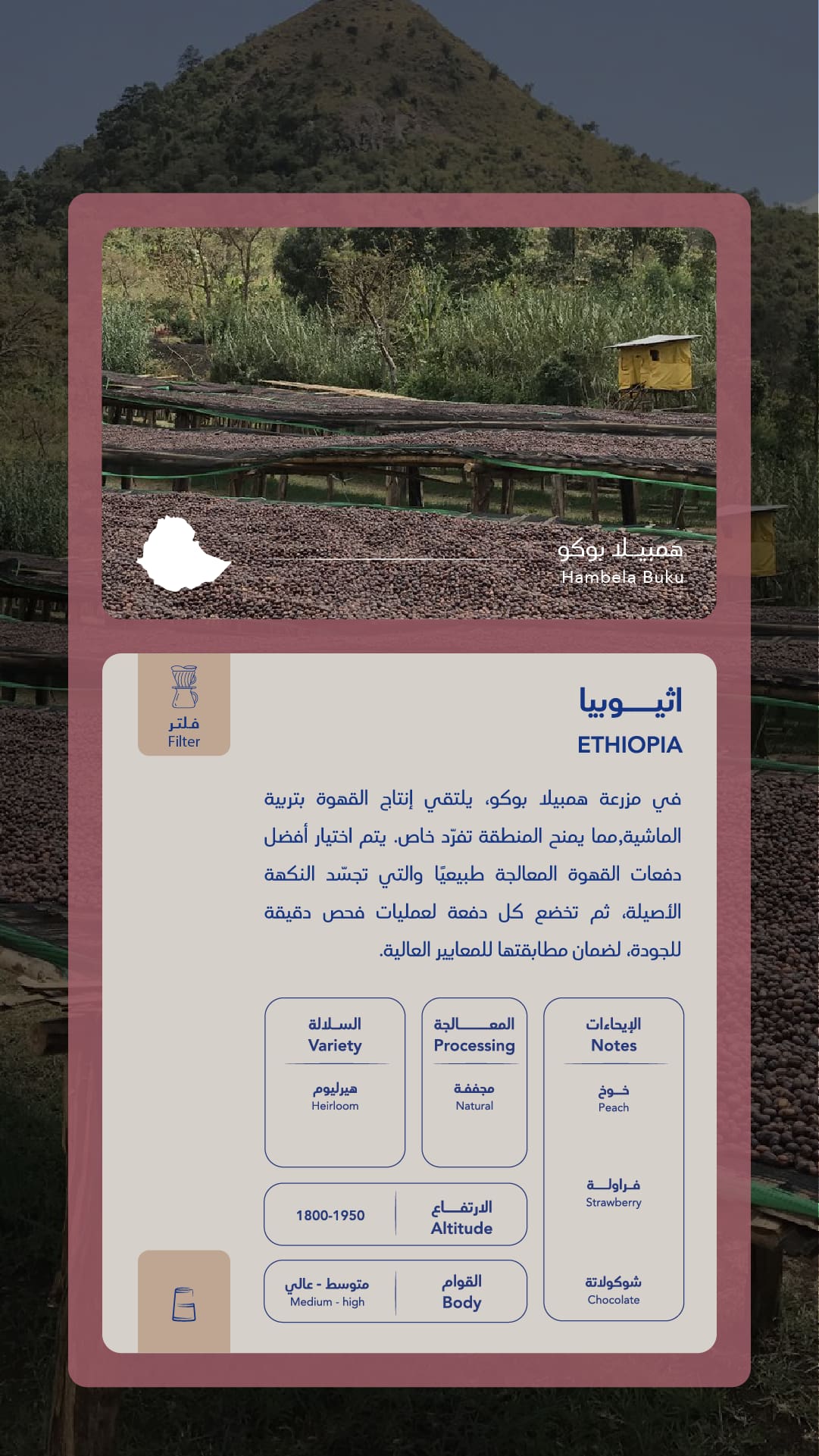 كيس قهوة سواء إثيوبيا هامبيلا بوكو