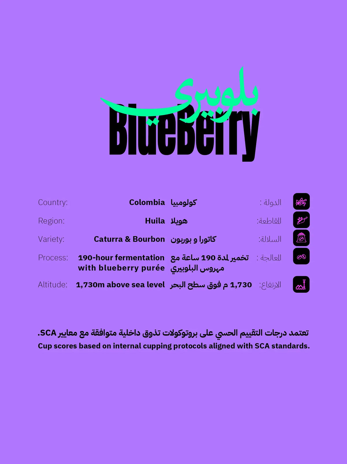 كيس قهوة سيليكشن كولومبيا بلوبيري