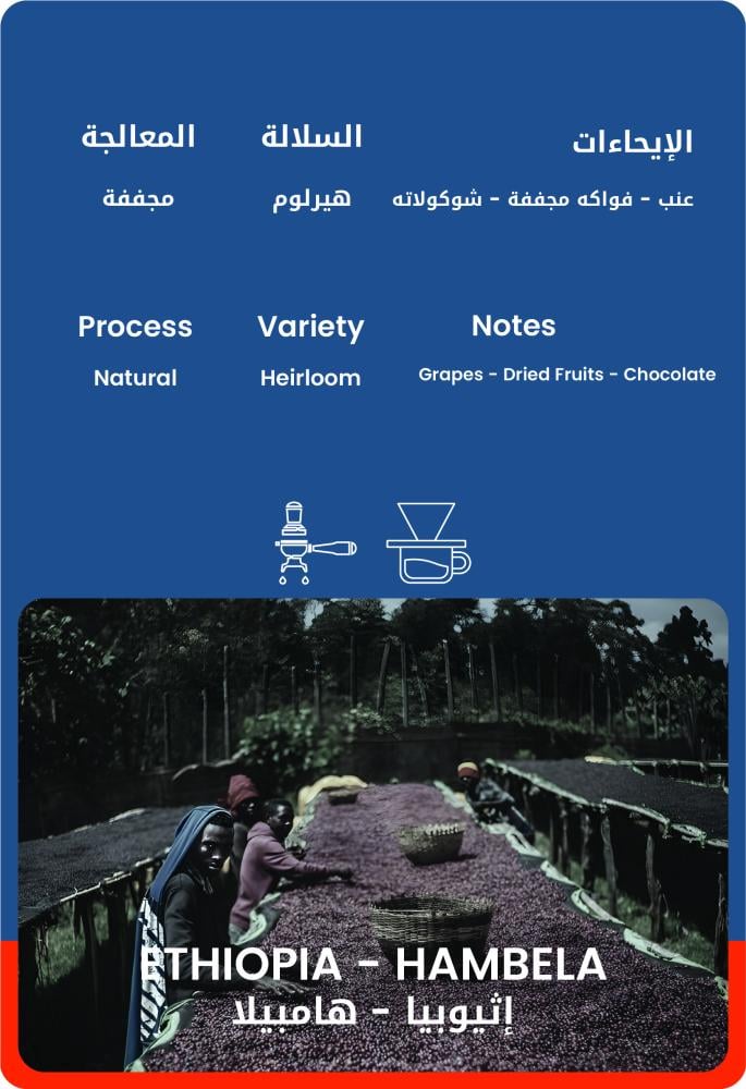 كيس قهوة ٣٠ويت إثيوبيا هامبيلا